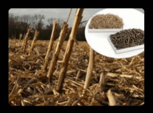 The Tree-Less Wood Business